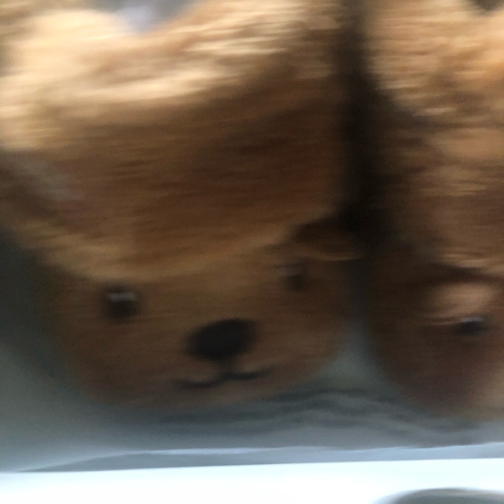 UGG Bixbee Bear Stuffie Bootie - Chestnut Brown - Picture 5 of 8
